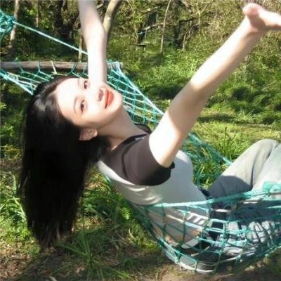 灰天鹅绒上的四只苍蝇