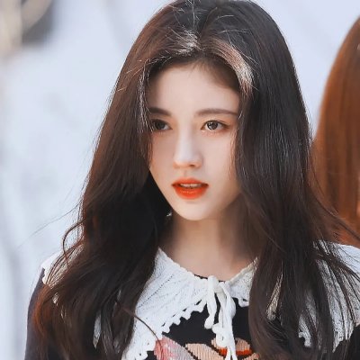 昙花缘未了